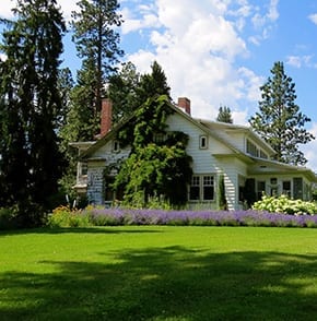 tree relocation house