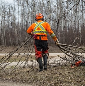 utility-clearing