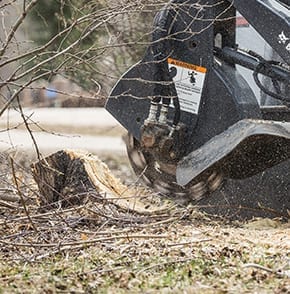 stump-removal-alberta