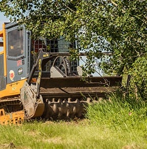 tree-clearing-alberta