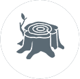stumps icon