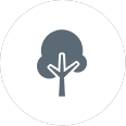 tree icon