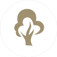 Tree Icon