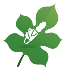 Chainsaw Leaf Icon