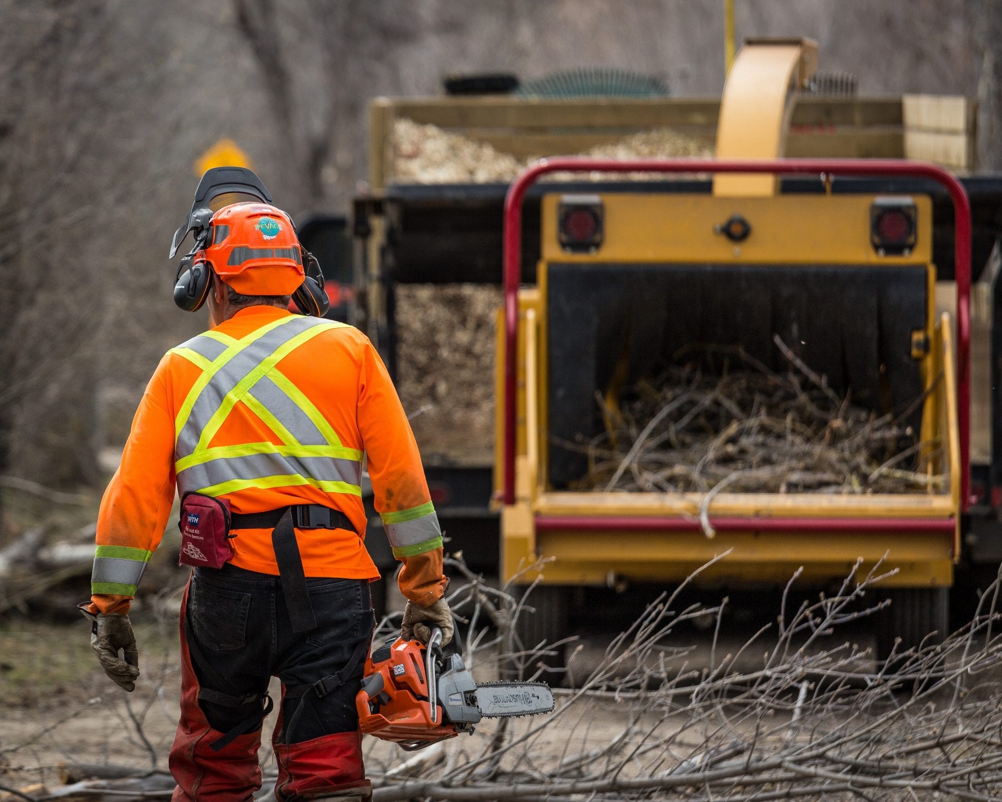 What Are The Tree Removal Procedures In Canada